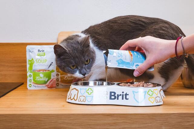 Brit Care Soup with Salmon for Cats 75 g - 5