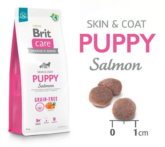 Brit Care Dog Grain-free Puppy - 5