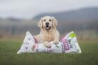 Brit Care Dog Sustainable Junior Large Breed - 6/6