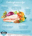 Brit Fresh Fish with Pumpkin Adult Large Muscles & Joints - 5/6