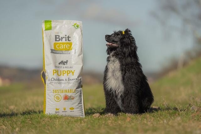 Brit Care Dog Sustainable Puppy - 6
