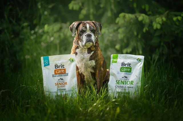 Brit Care Dog Grain-free Senior & Light - 6