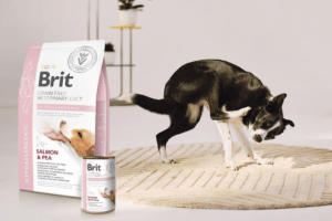 Brit Grain Free Veterinární Diety pomáhají řešit specifické zdravotní problémy psů a koček 