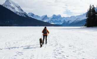 Tipy a rady: Chystáte se se psem na hory? Na co nezapomenout a jak vybrat místo